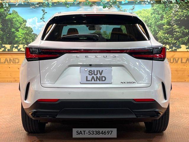 Lexus NX 2024-04 7272239-16