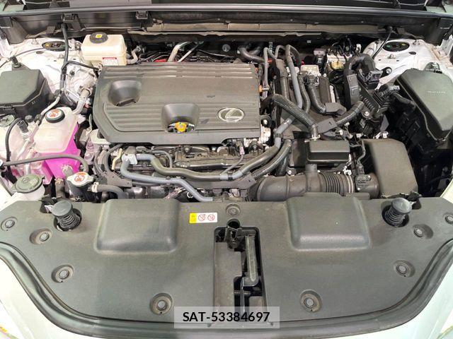 Lexus NX 2024-04 7272239-17