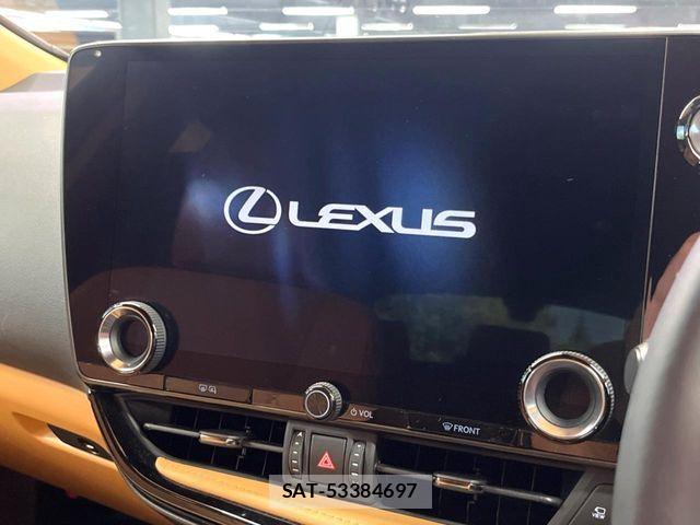 Lexus NX 2024-04 7272239-2