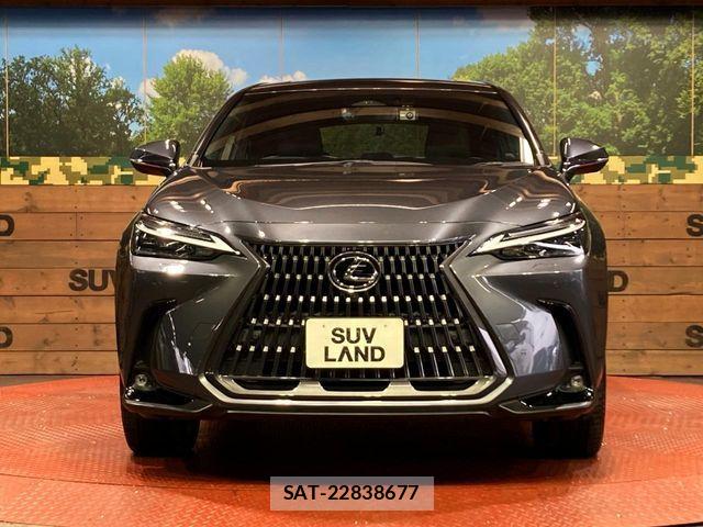 Lexus NX 2022-04 7272240-13