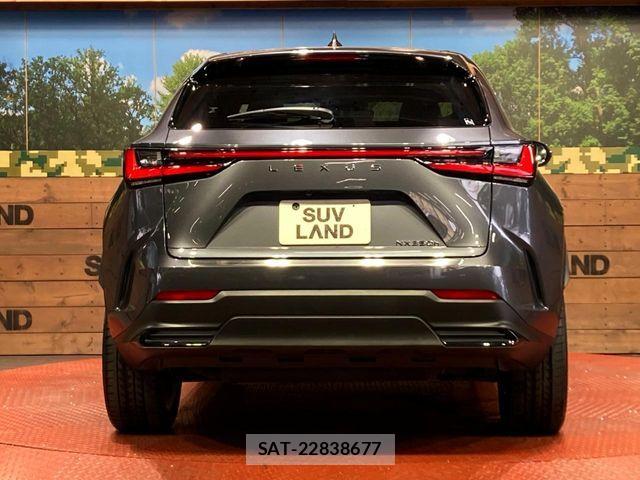 Lexus NX 2022-04 7272240-14
