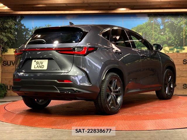 Lexus NX 2022-04 7272240-16