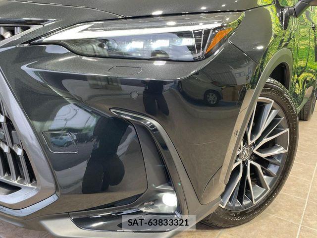 Lexus NX 2023-06 7272241-11