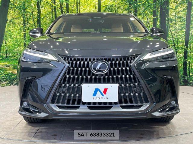 Lexus NX 2023-06 7272241-13