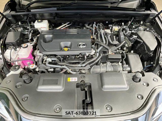 Lexus NX 2023-06 7272241-17