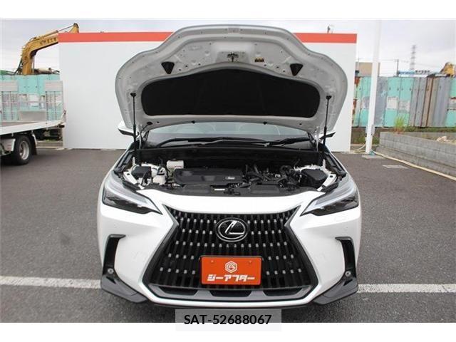 Lexus NX 2022-10 7328067-29