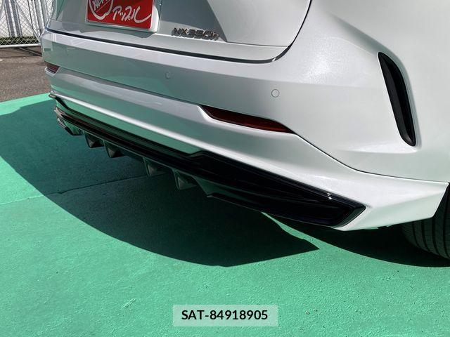 Lexus NX 2024-10 7328062-11