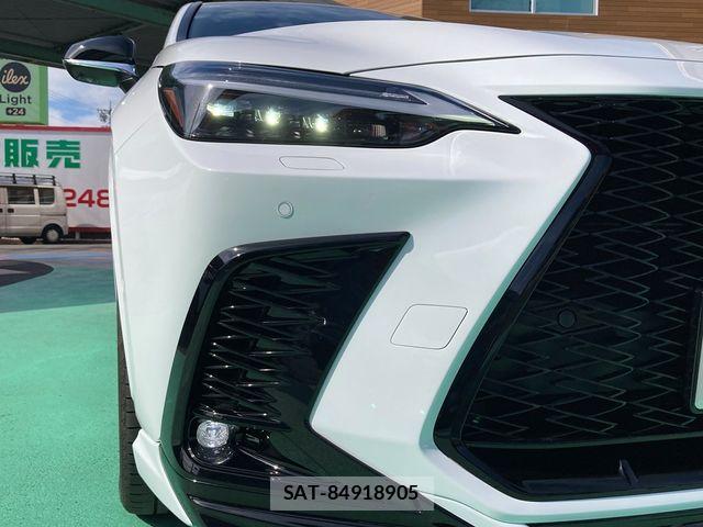 Lexus NX 2024-10 7328062-13