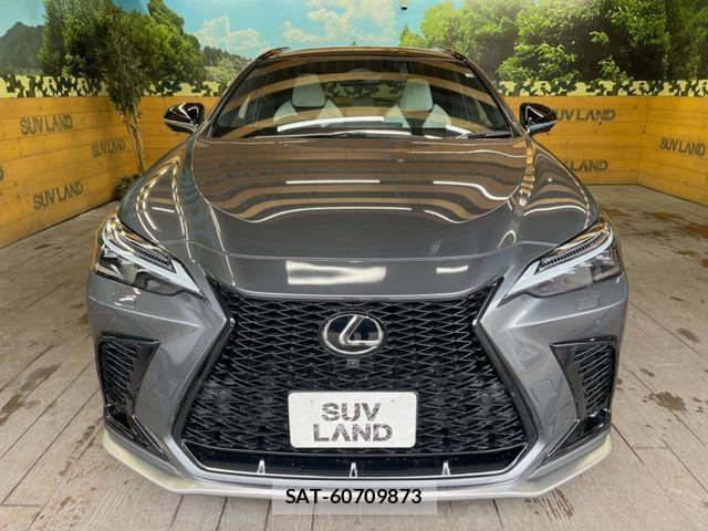 Lexus NX 2022-10 7328066-15