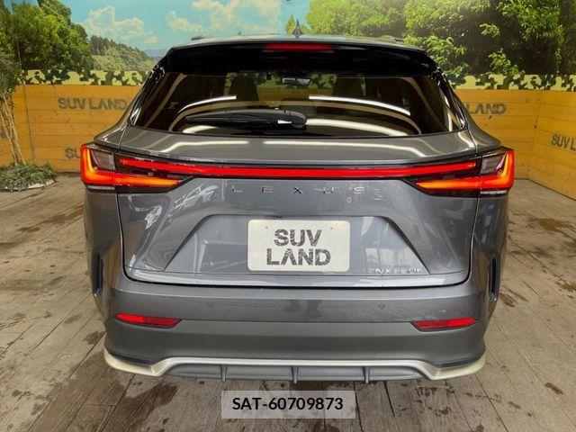 Lexus NX 2022-10 7328066-16