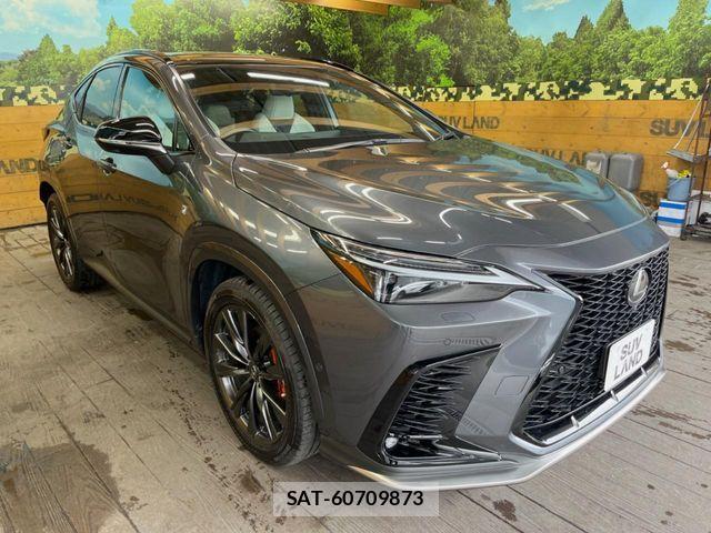 Lexus NX 2022-10 7328066-17