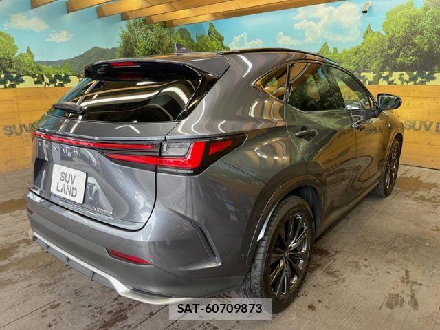 Lexus NX 2022-10 7328066-18