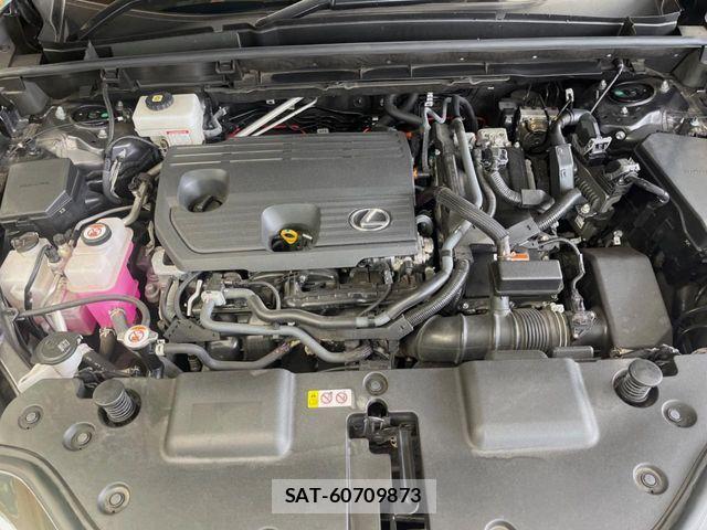 Lexus NX 2022-10 7328066-19