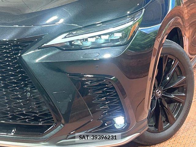Lexus NX 2024-10 7328064-11
