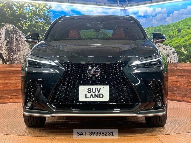 Lexus NX 2024-10 7328064-13