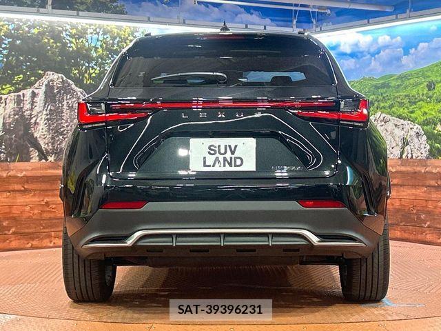 Lexus NX 2024-10 7328064-14