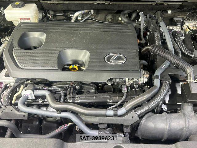 Lexus NX 2024-10 7328064-17