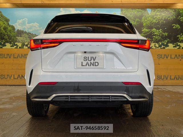Lexus NX 2024-10 7328061-14