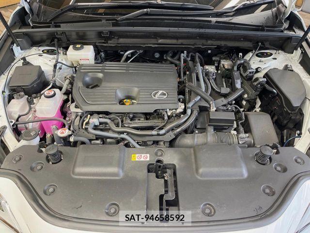 Lexus NX 2024-10 7328061-17