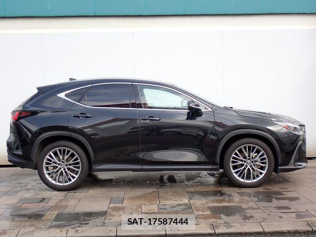 Lexus NX 2023-03 7328069-4