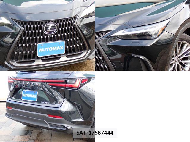 Lexus NX 2023-03 7328069-6