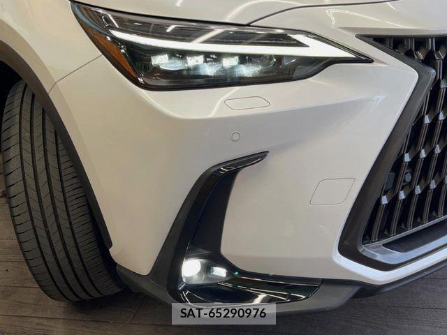 Lexus NX 2023-10 7358528-11