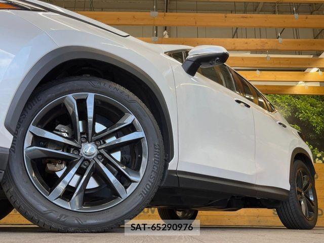 Lexus NX 2023-10 7358528-12