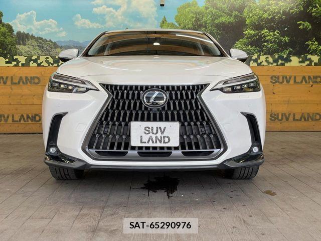 Lexus NX 2023-10 7358528-13