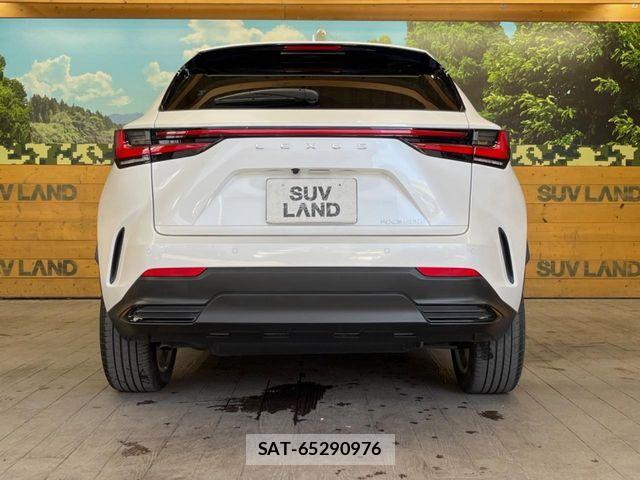 Lexus NX 2023-10 7358528-14
