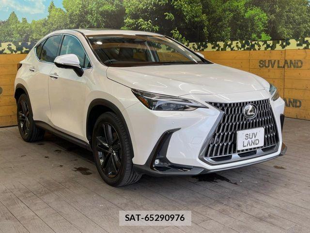 Lexus NX 2023-10 7358528-15