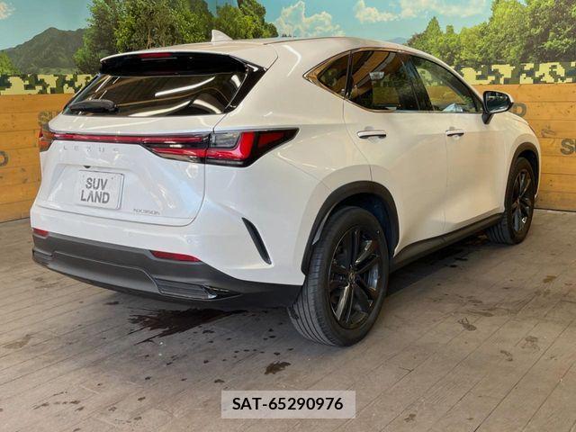 Lexus NX 2023-10 7358528-16