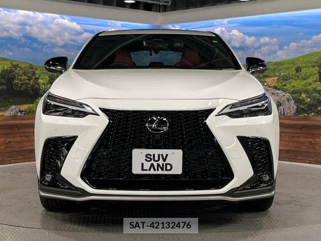 Lexus NX 2023-03 7358525-13