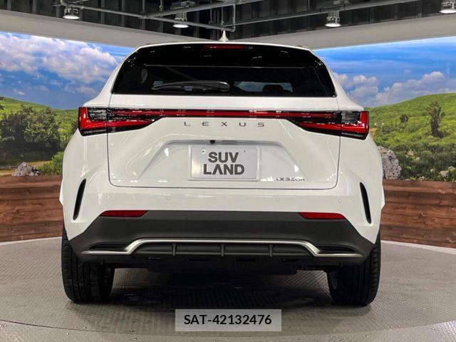 Lexus NX 2023-03 7358525-14
