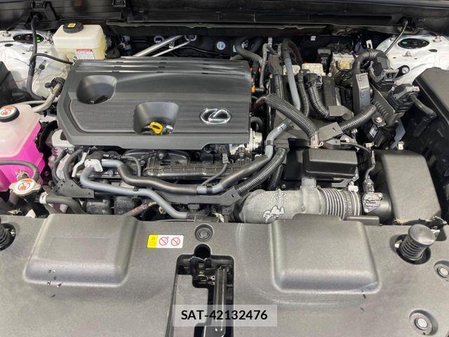 Lexus NX 2023-03 7358525-17