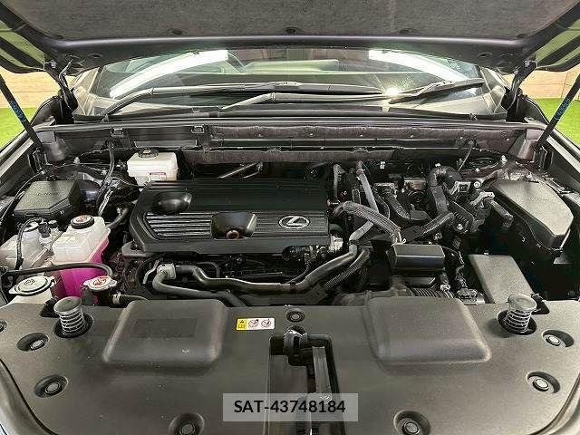 Lexus NX 2023-03 7358534-12