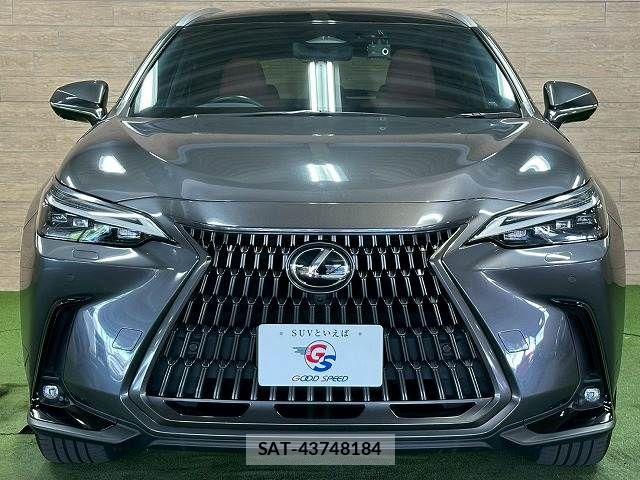 Lexus NX 2023-03 7358534-16
