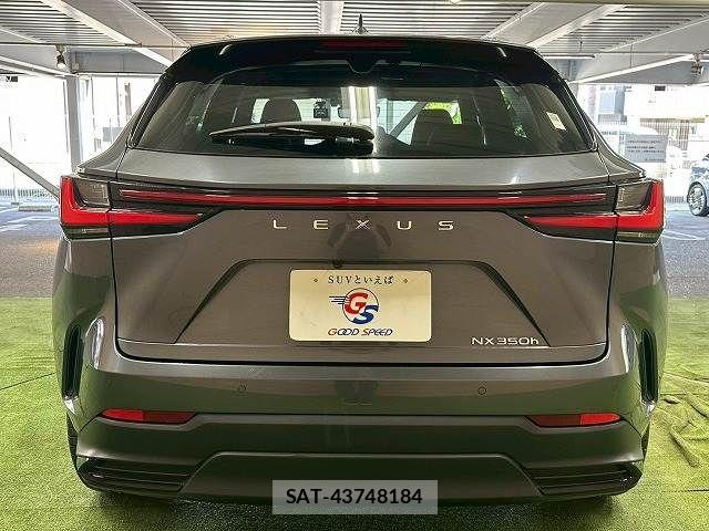 Lexus NX 2023-03 7358534-18
