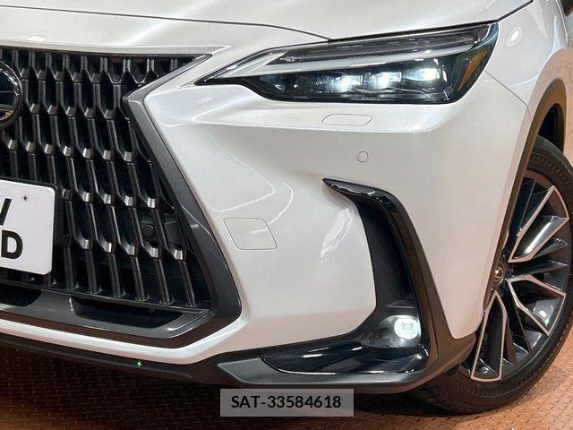 Lexus NX 2023-07 7358538-10