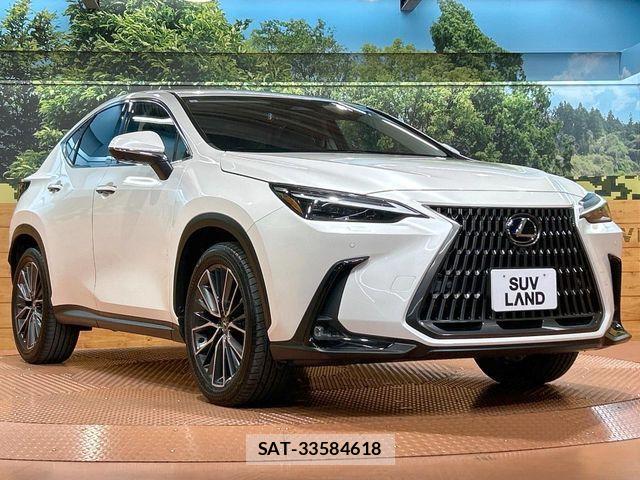 Lexus NX 2023-07 7358538-14