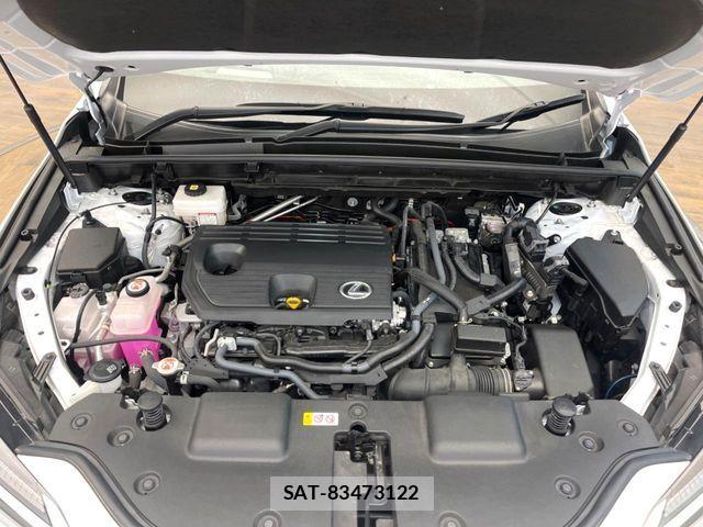 Lexus NX 2023-08 7392690-17