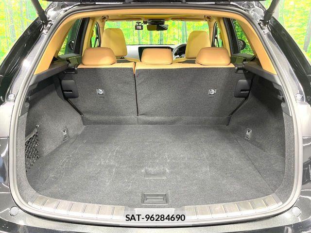 Lexus NX 2023-08 7392696-9