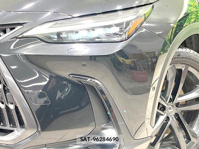 Lexus NX 2023-08 7392696-11