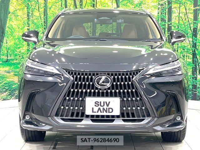 Lexus NX 2023-08 7392696-13