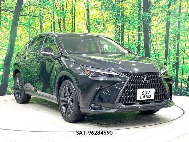Lexus NX 2023-08 7392696-15