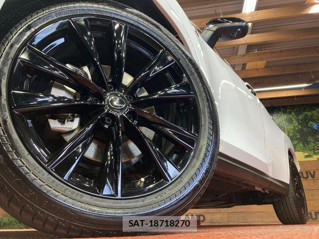 Lexus NX 2023-02 7392692-12