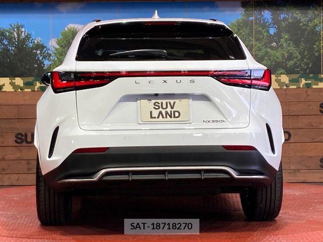 Lexus NX 2023-02 7392692-14