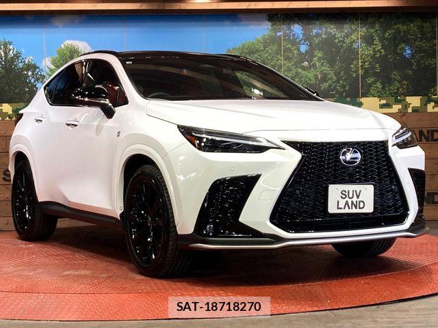 Lexus NX 2023-02 7392692-15