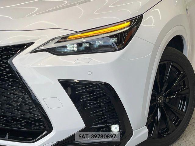 Lexus NX 2023-07 7392691-11