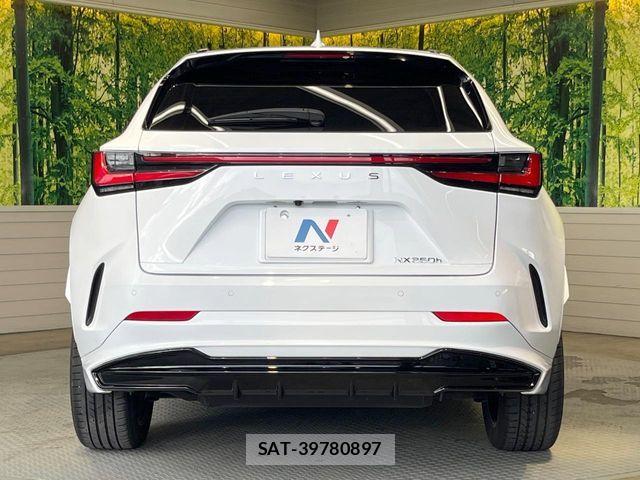 Lexus NX 2023-07 7392691-14