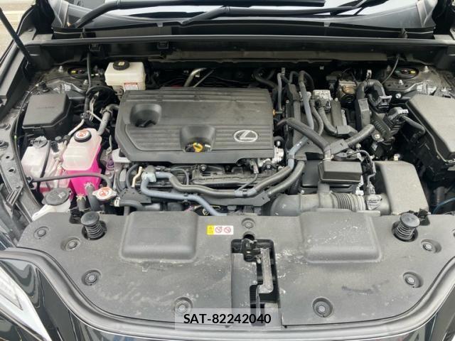 Lexus NX 2024-09 7455441-23